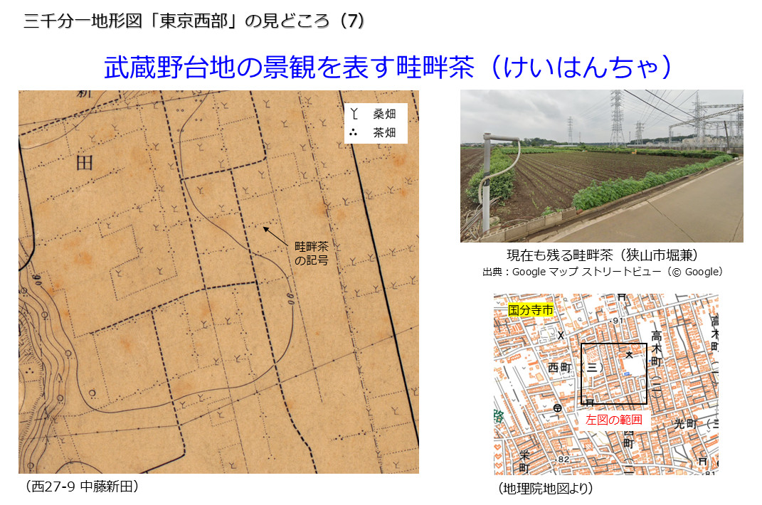 武蔵野台地の景観を表す畦畔茶
